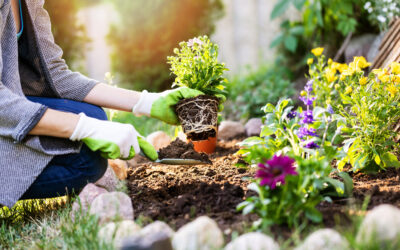 What Are the Essential Tools Every Home Gardener Should Have?